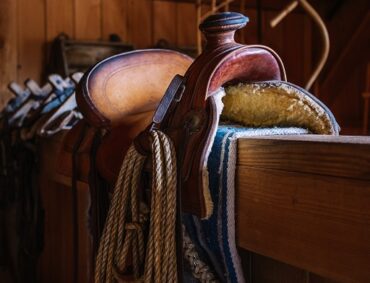 saddle