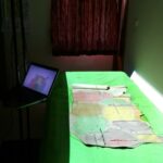 Hide Leather Scanning and Nesting Prototype